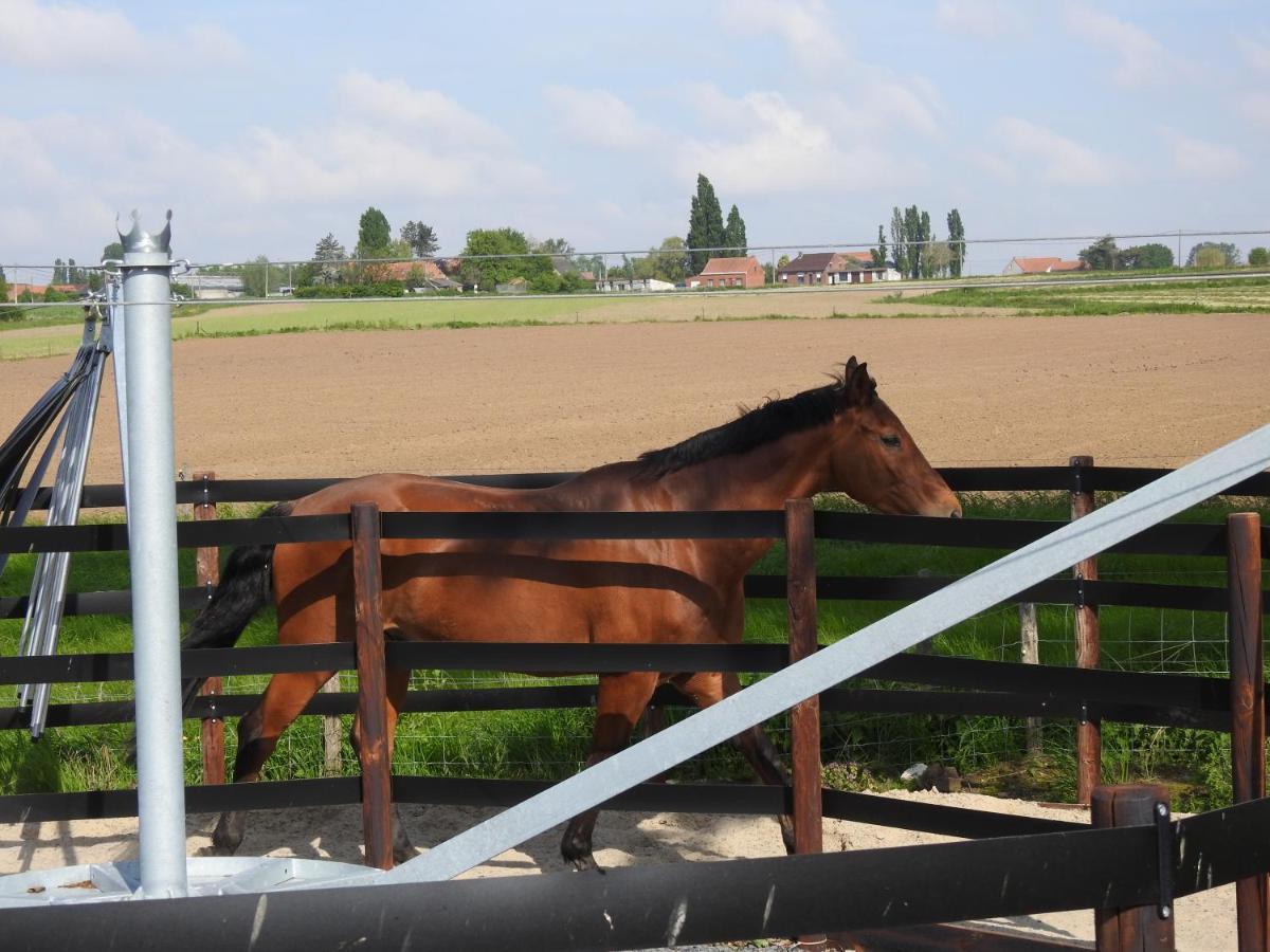 B&B De Linde Wijtschate Esterno foto