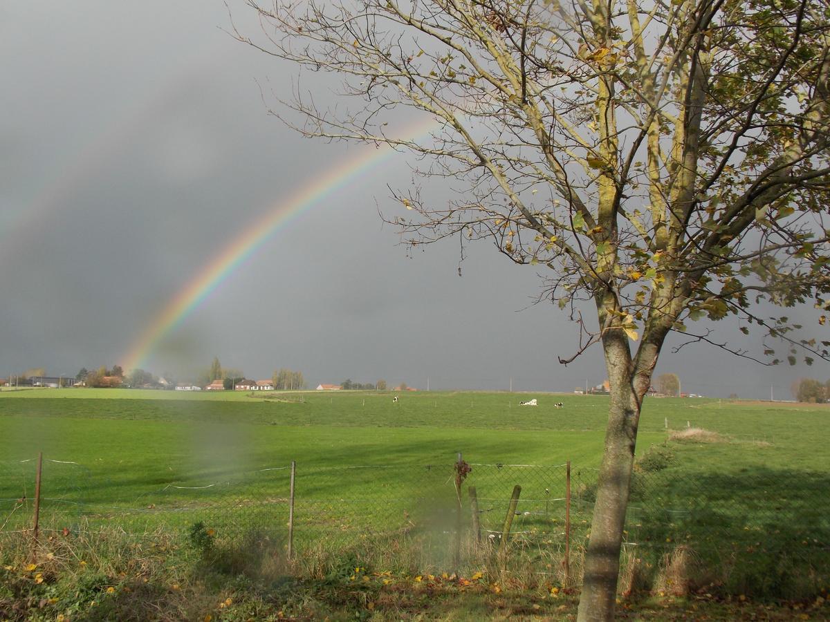 B&B De Linde Wijtschate Esterno foto