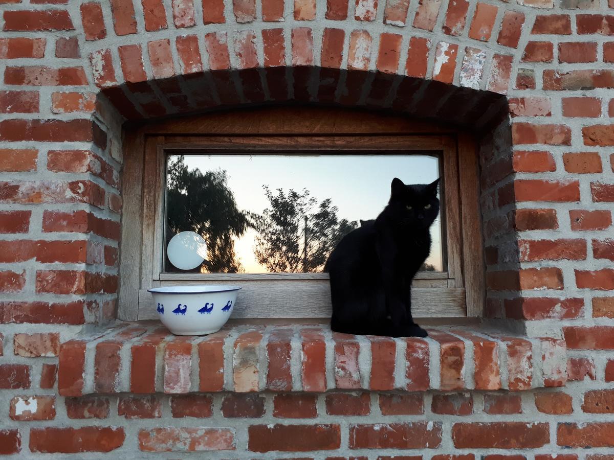 B&B De Linde Wijtschate Esterno foto