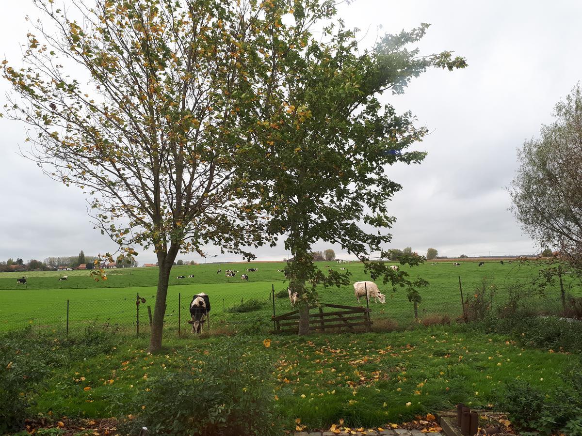 B&B De Linde Wijtschate Esterno foto